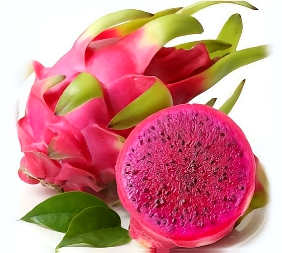 Alejandro tweet media