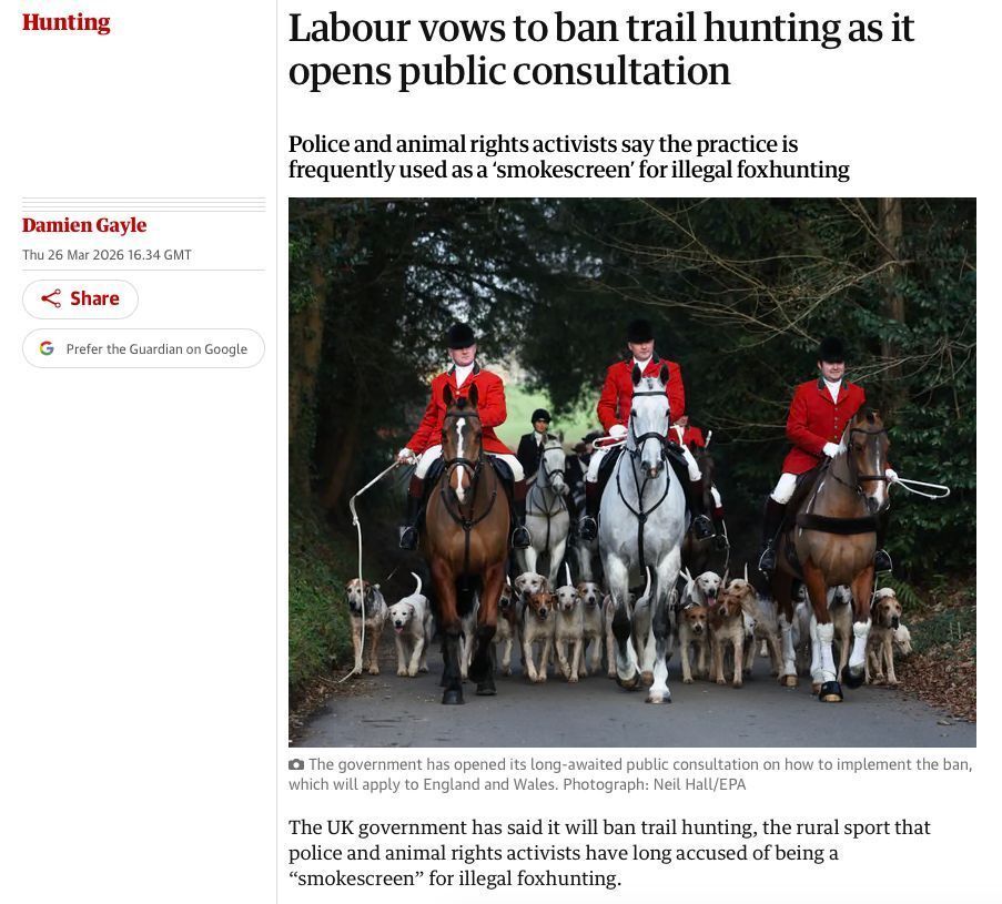 Anneliese Dodds tweet media