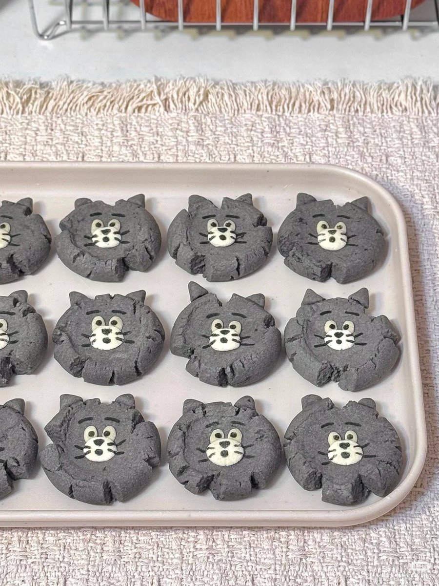 No Context Cats tweet media