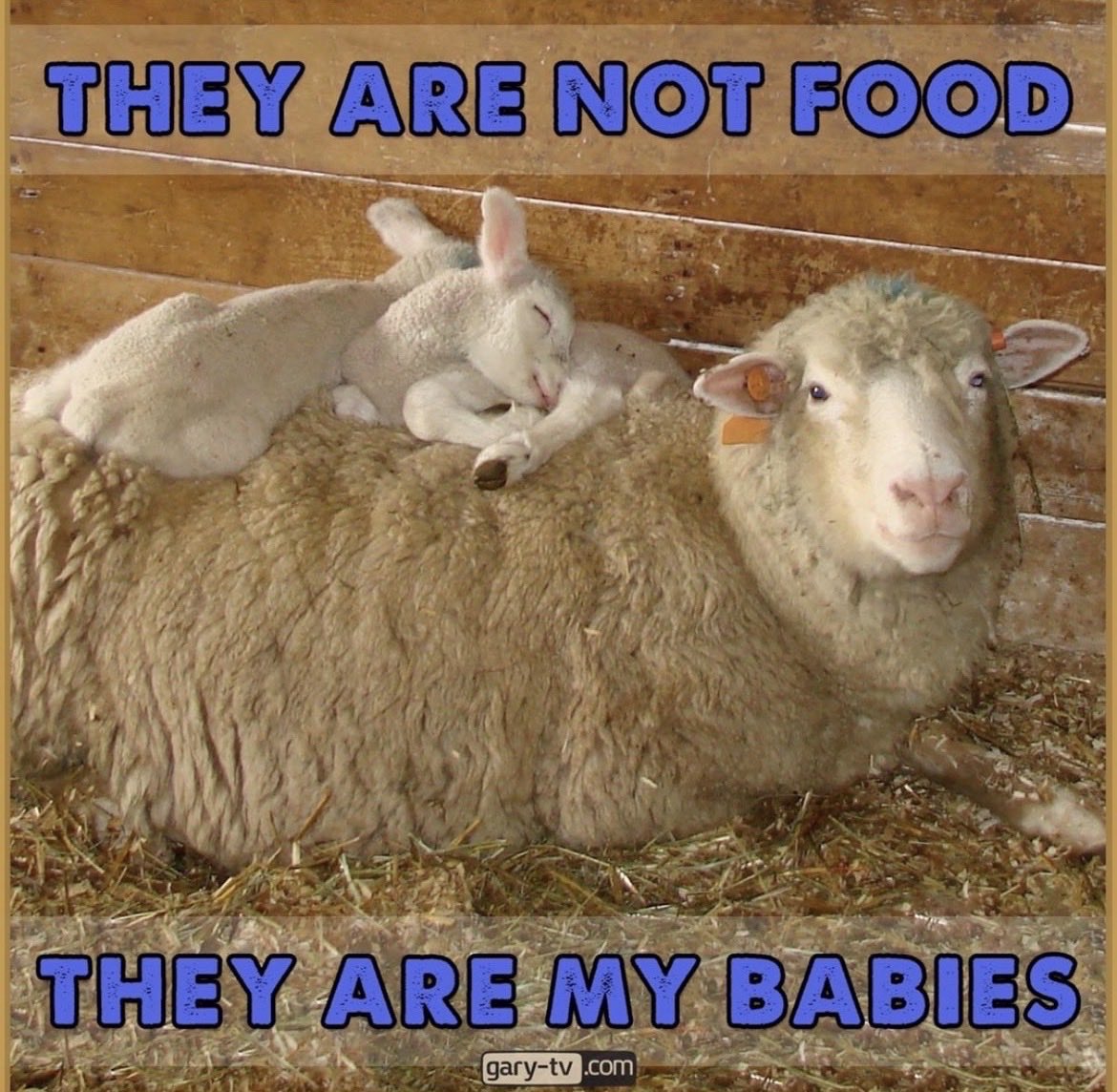 NothingIsArt tweet media