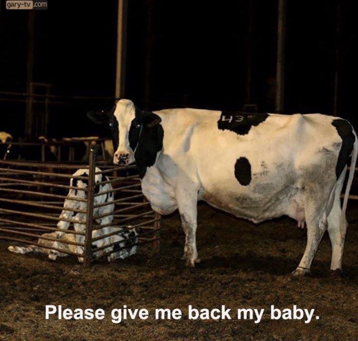 NothingIsArt tweet media