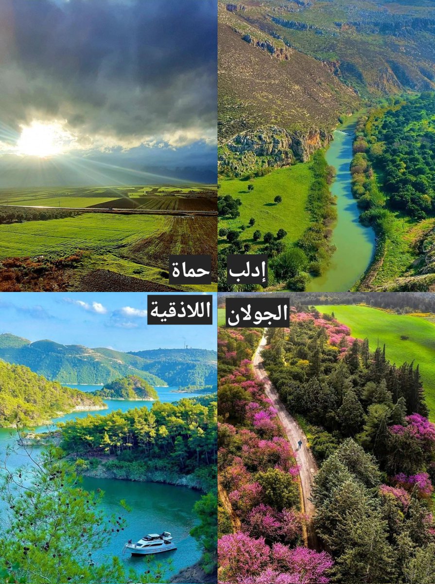 ياسمين العاصي tweet media