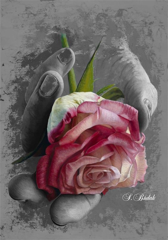 One Good Man tweet media