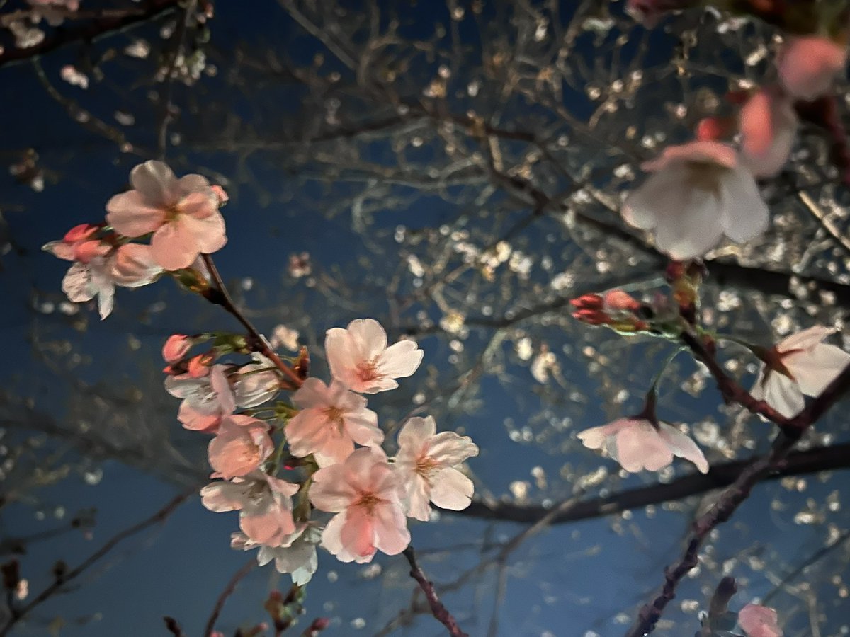 元・FMひらかた（周波数FM77.9MHz） tweet media