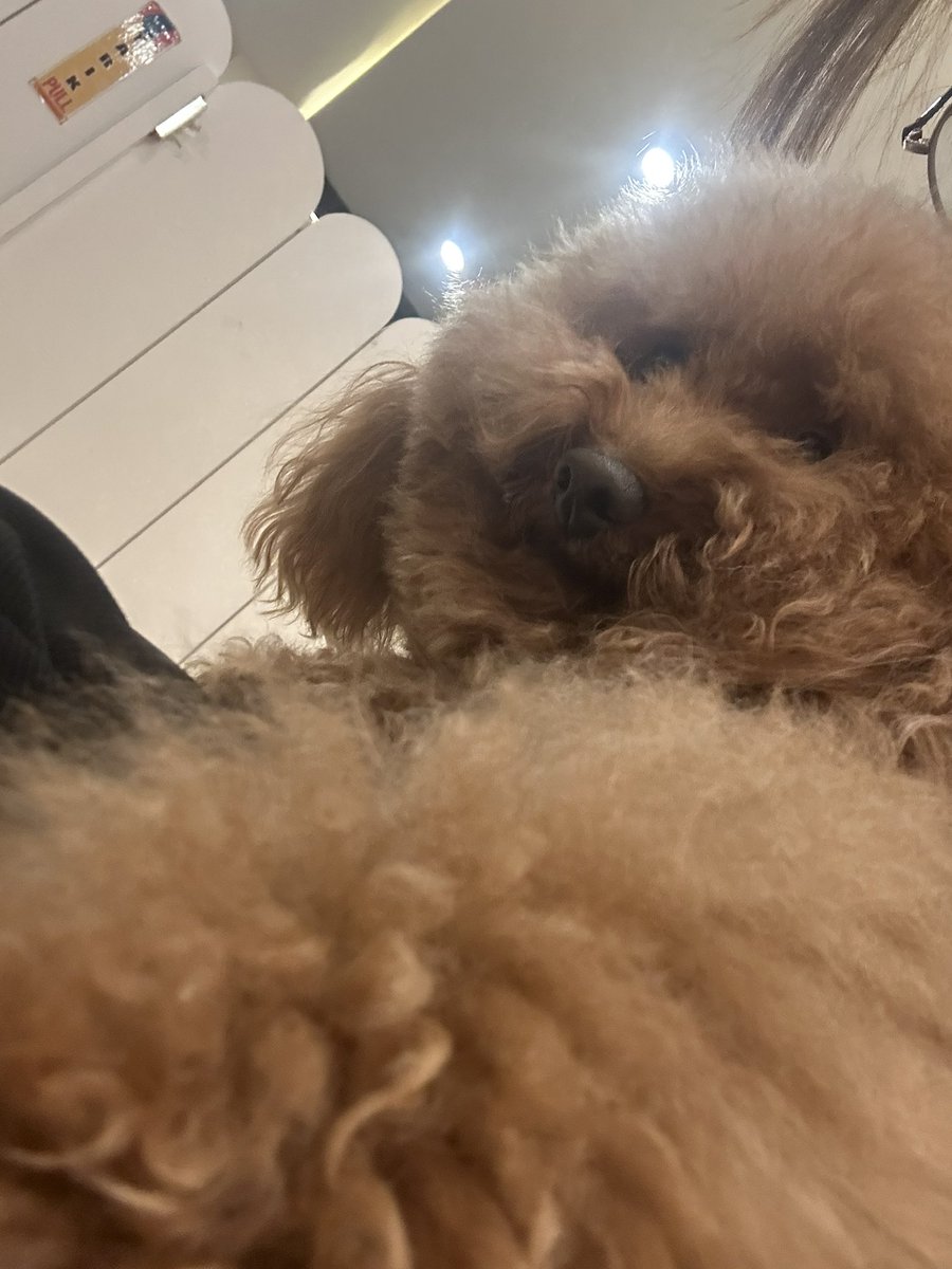 Aera 𝜗ৎ | joki lads 📌 tweet media