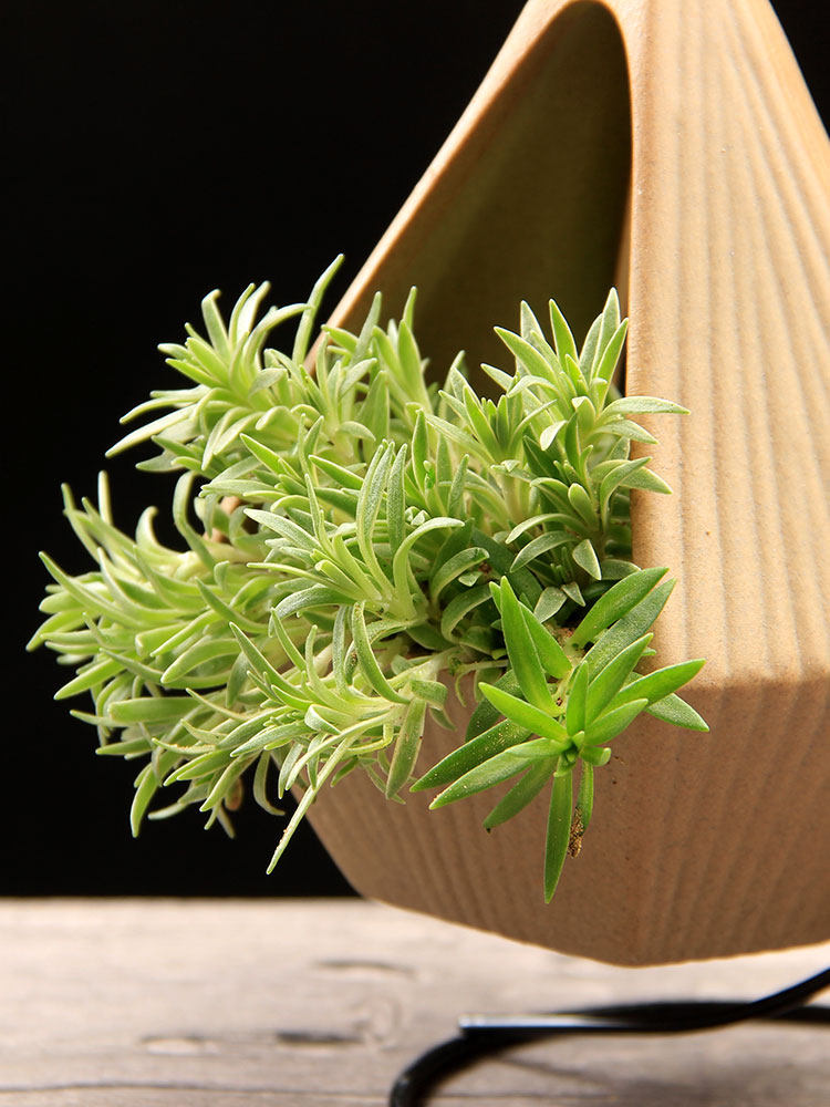 stargate tweet media