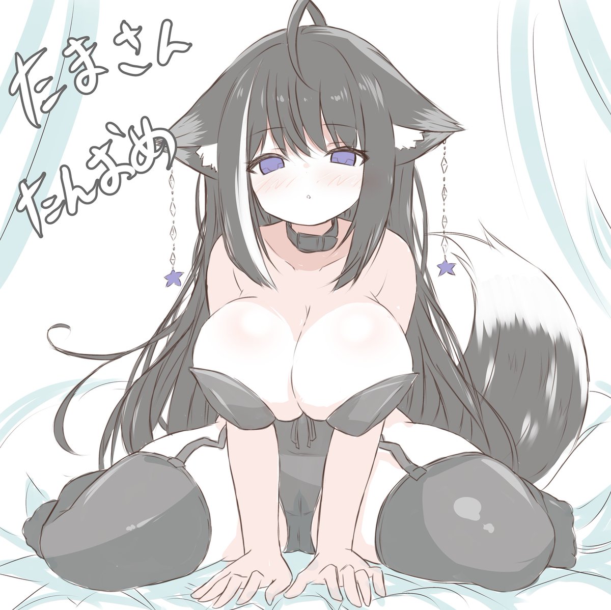 チワワの浩太＠うさむぎいぬもぐ tweet media