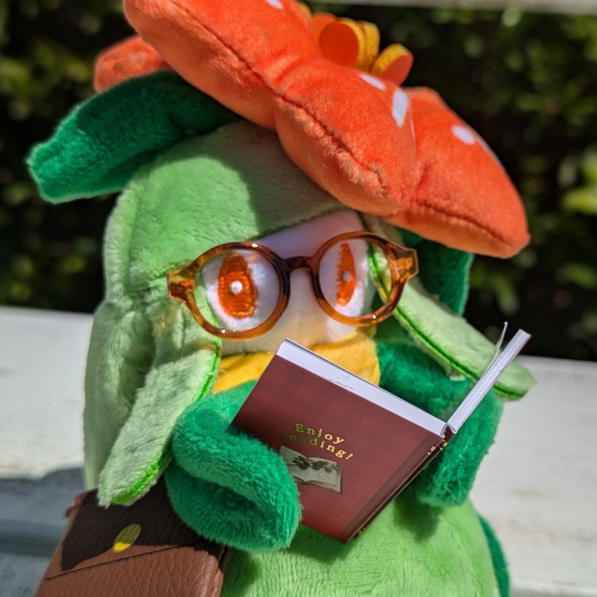 カエデ@ぬい&おしゃべり tweet media