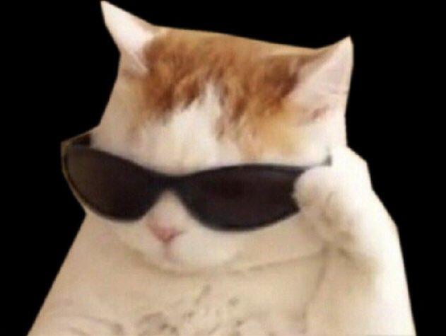 Token Relations ๐ tweet media