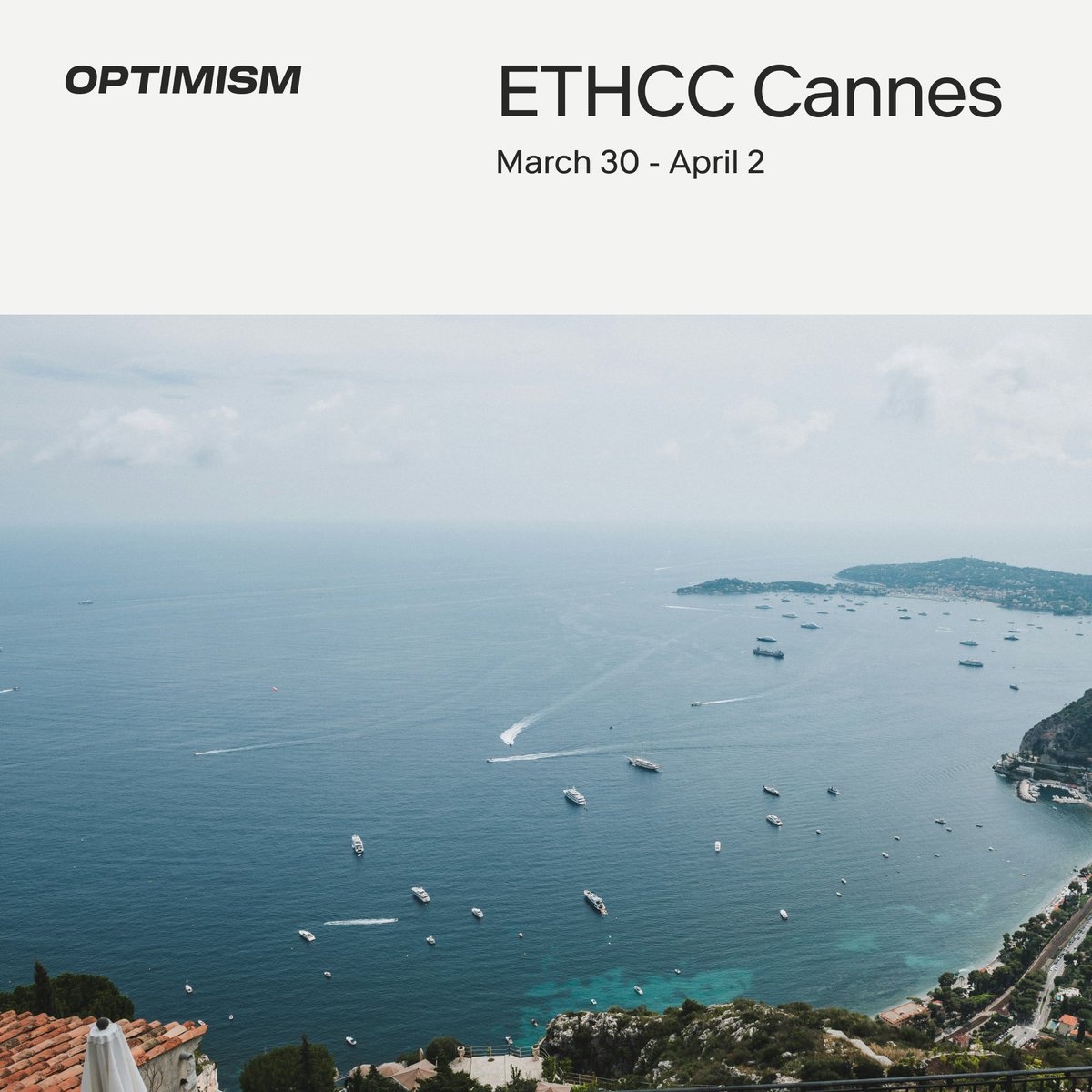 Optimism tweet media