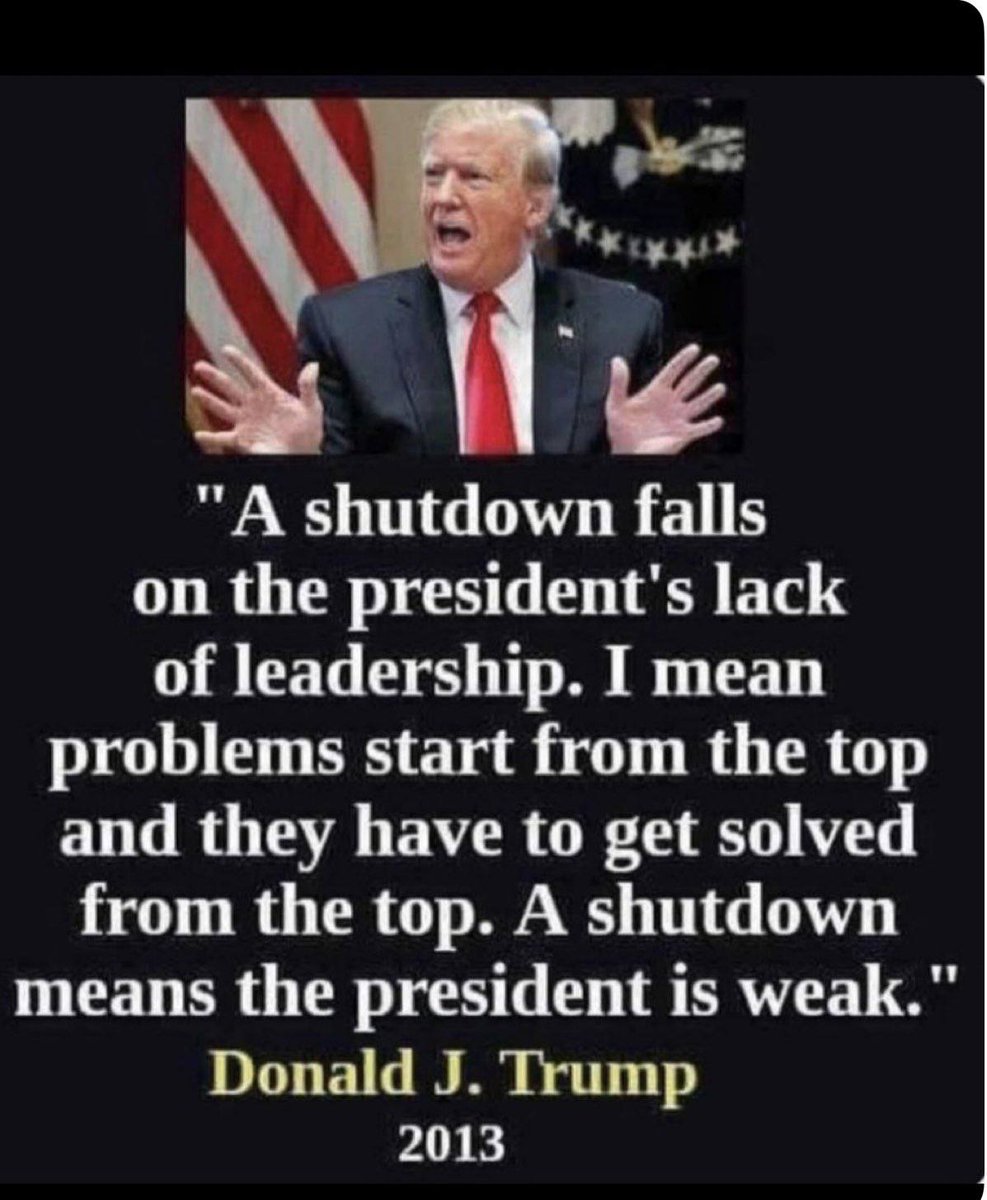 ForestintheFort tweet media