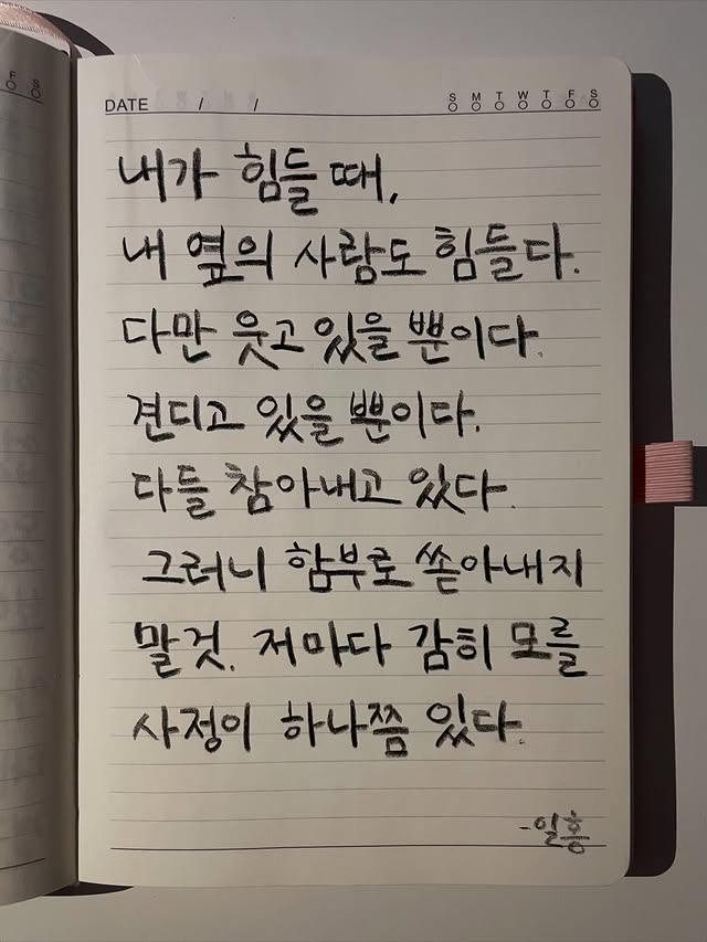 늘푸른소나무 tweet media