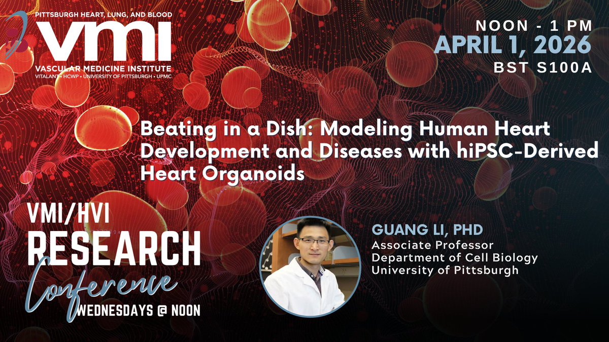 PittVMI's tweet photo. 🔬 Join us at noon on Wednesday, April 1, for the next VMI/HVI Research Conference!

Dr. Guang Li will present: "Beating in a Dish: Modeling Human Heart Development and Diseases with hiPSC-Derived Heart Organoids" https://t.co/3WkdRkYYBN