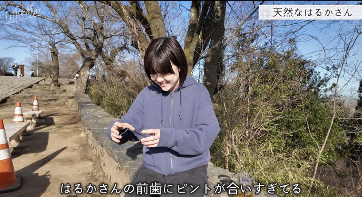 伽説いわし(にぼしいわし) tweet media