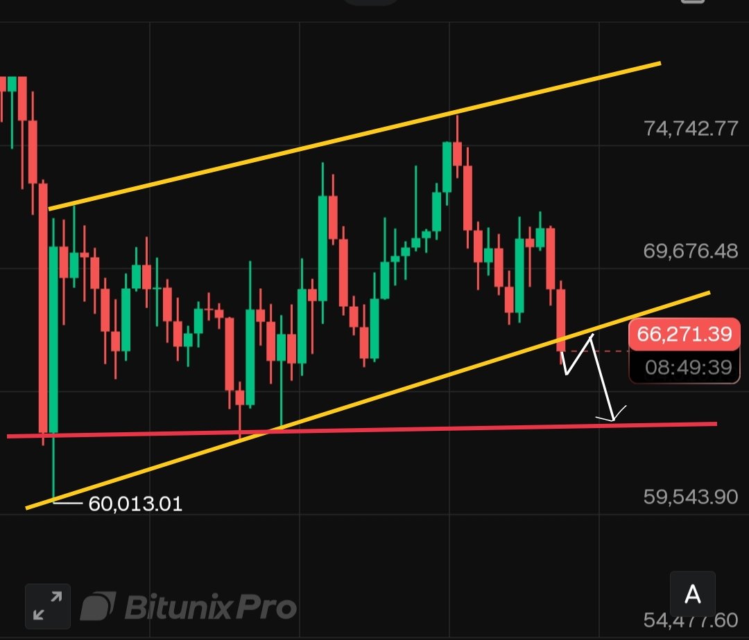 Techno Vas tweet media