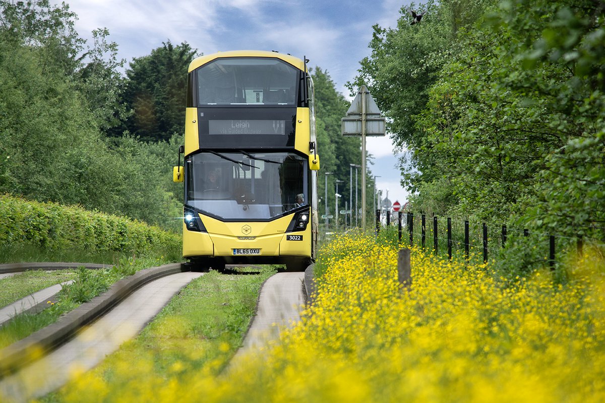 Bee Network tweet media