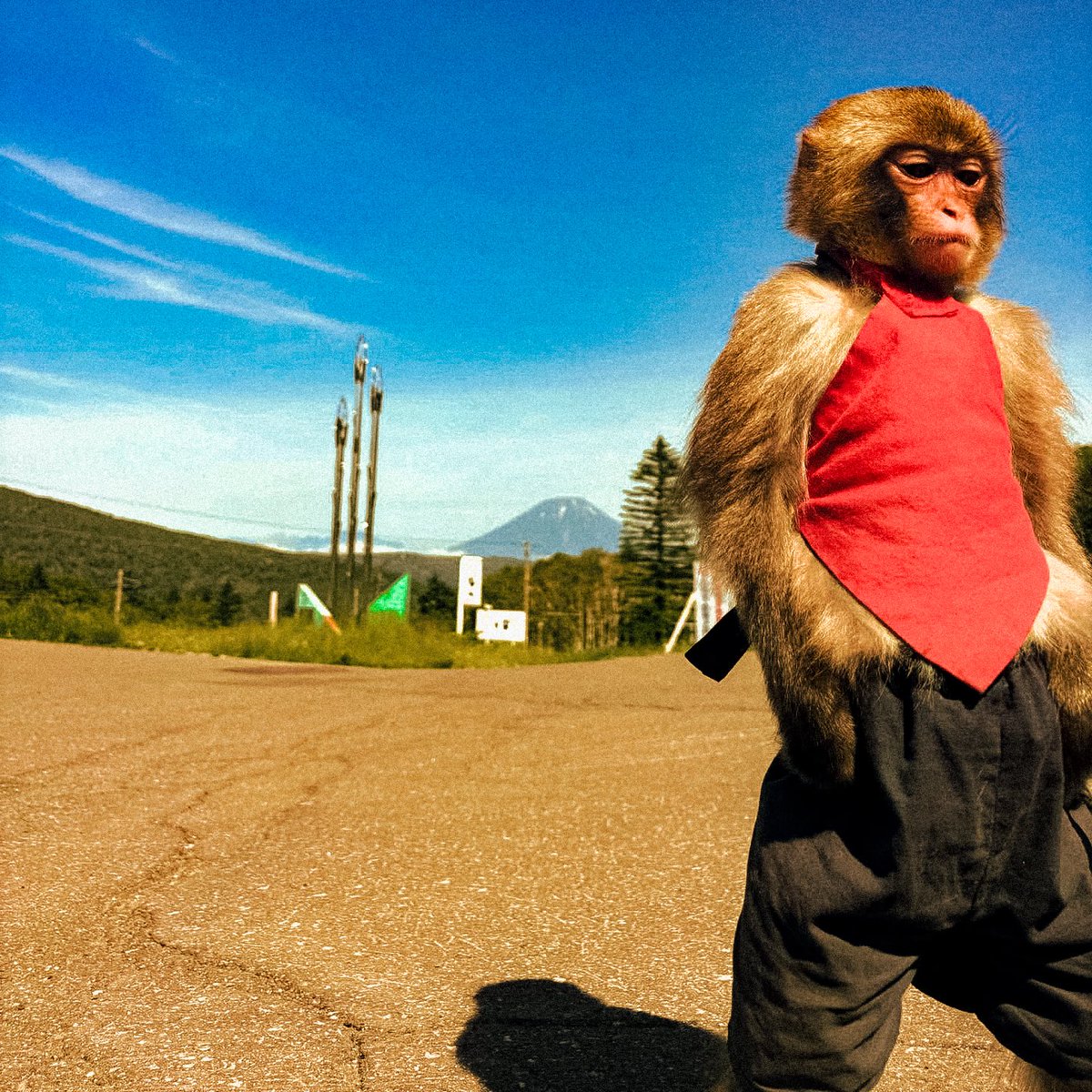 Robinho 🇧🇷🇮🇹 tweet media