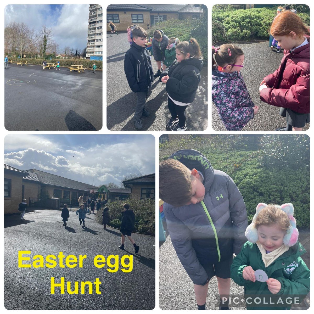 Finaghy Primary tweet media