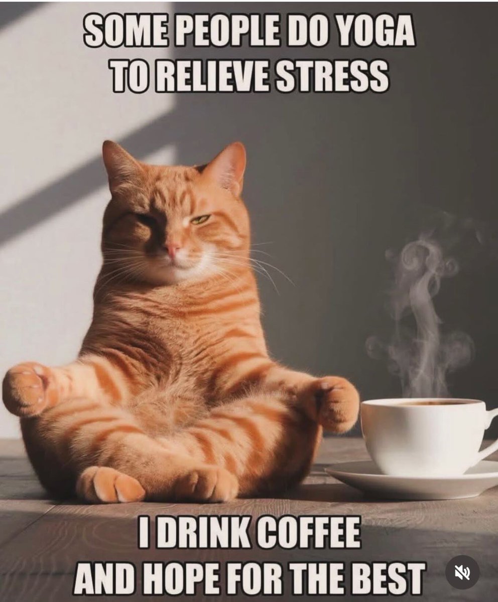 Garrett Born tweet media