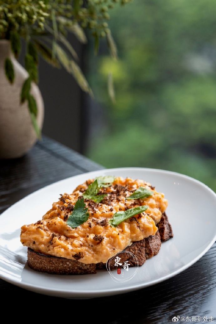 shaimaa zyada tweet media