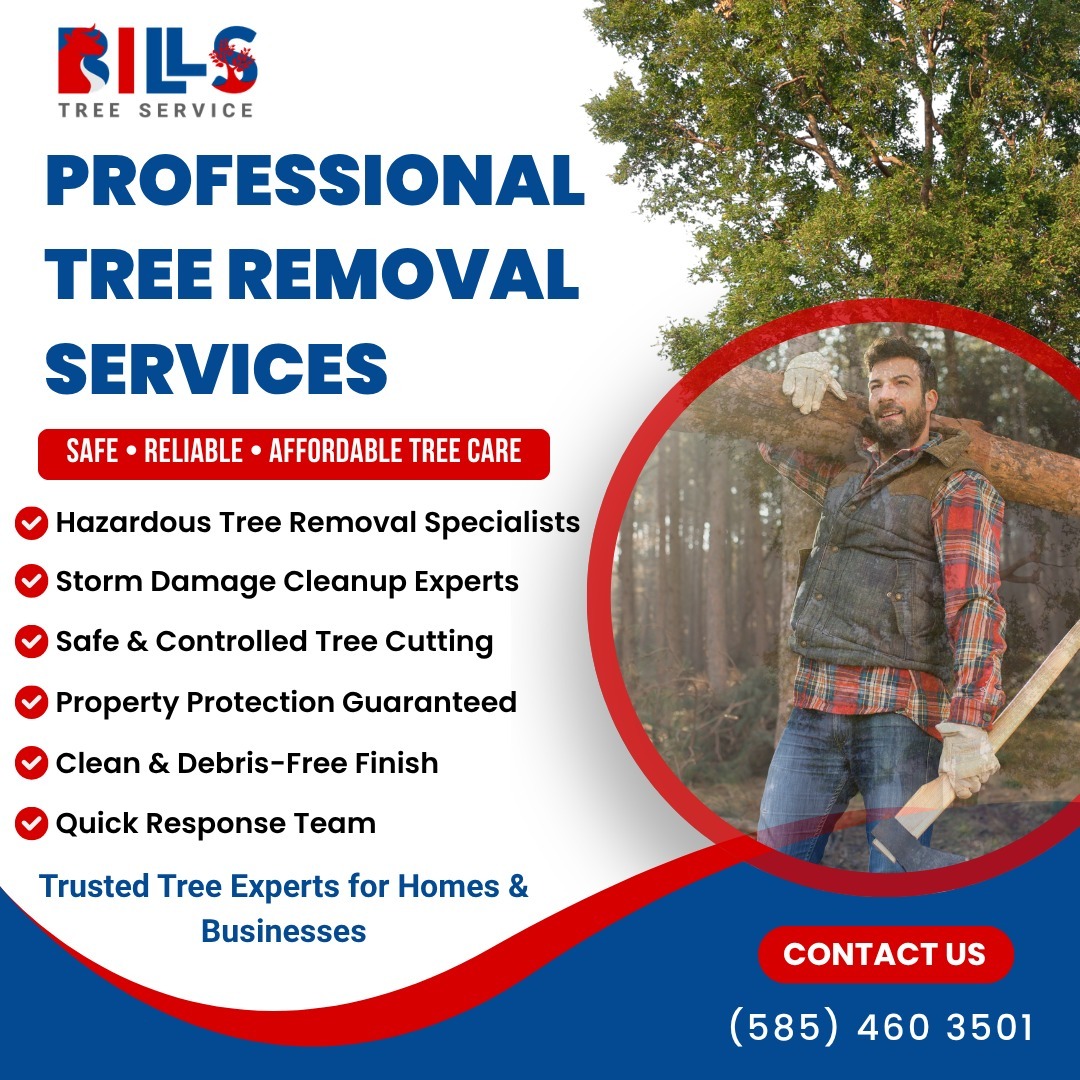 Bills_Tree's tweet image. Not all tree problems are visible. A tree may look strong but be weak inside, especially after storms. 🌳
Professional removal means proper risk assessment and safe execution.
Trust Bill’s Tree Removal.
📞 (585) 460-3501
#TreeSafety #Arborist #TreeCare #SafeHomes