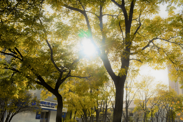 JuanDavid  tweet media