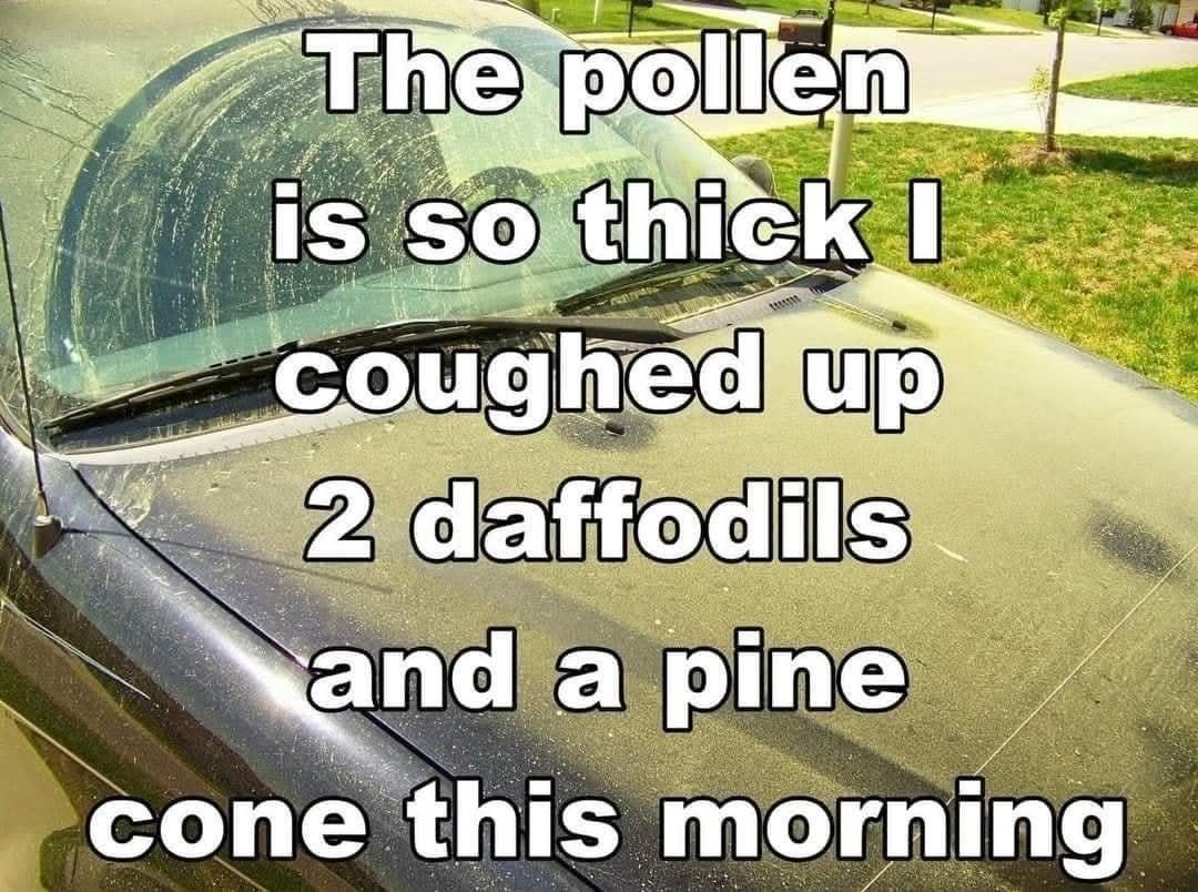 MaryAnnNotGinger 💋 tweet media