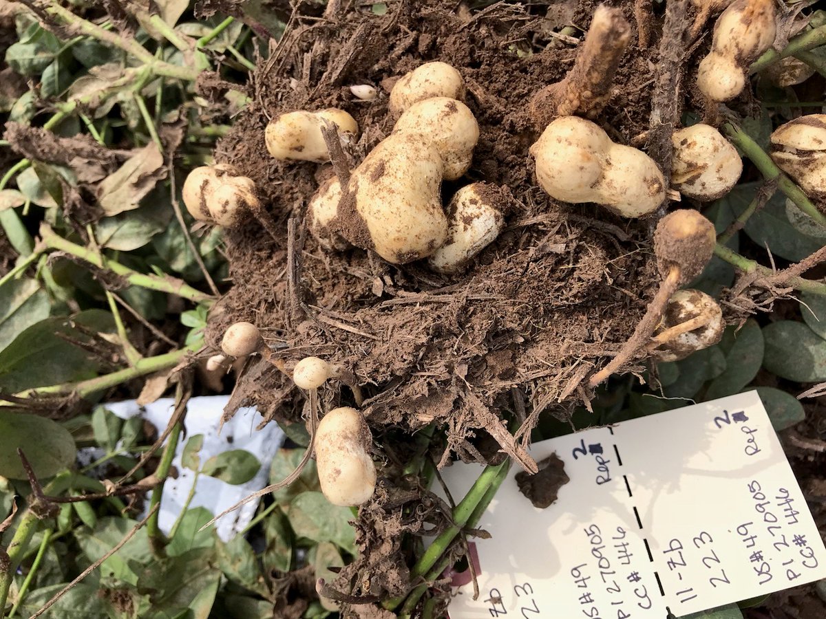 Agricultural Research Service tweet media