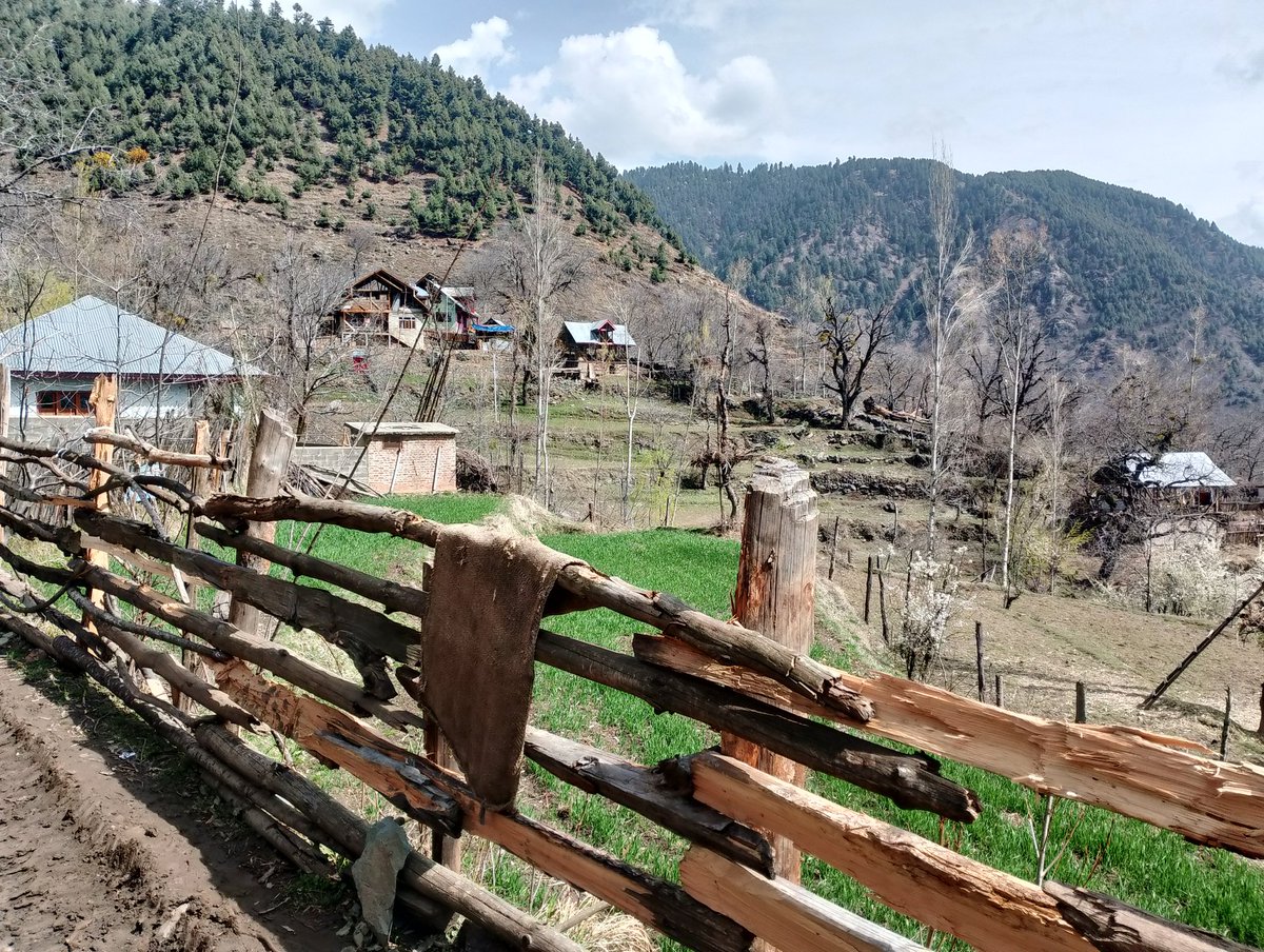 Umer Abdullah tweet media