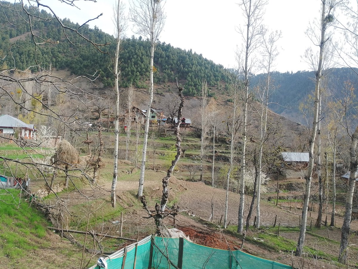 Umer Abdullah tweet media