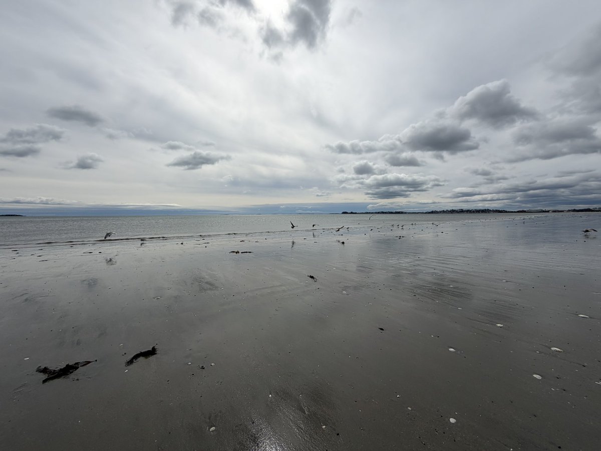 李德胜DavidTheRealtor tweet media