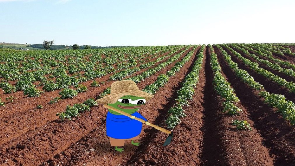 NotACircle tweet media