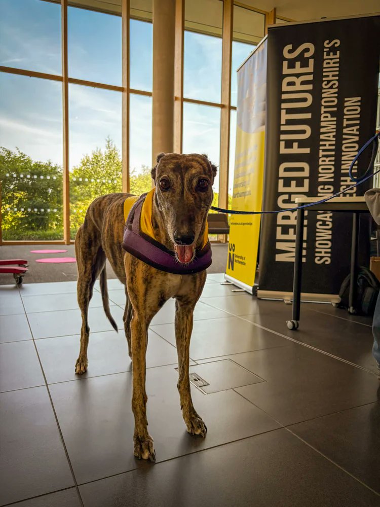 West Northamptonshire Council tweet media