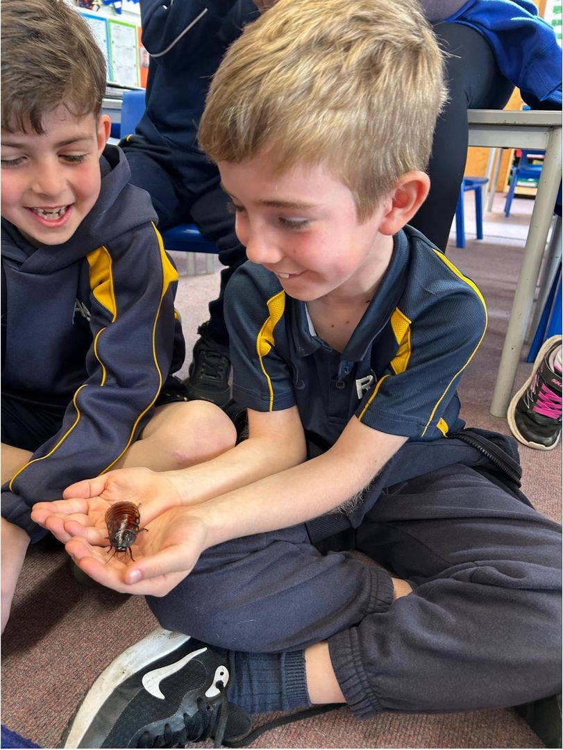 RA Butler Academy  tweet media