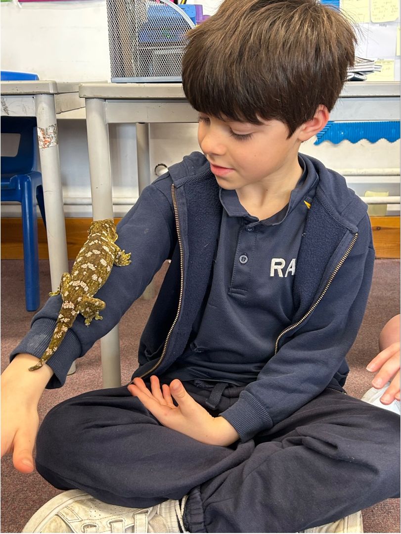 RA Butler Academy  tweet media