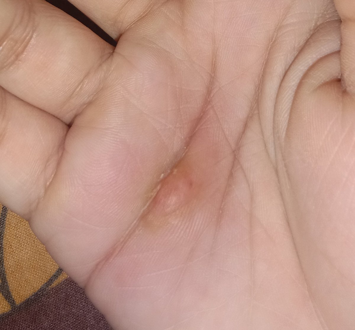 CIYOO.ᐟ★ tweet media