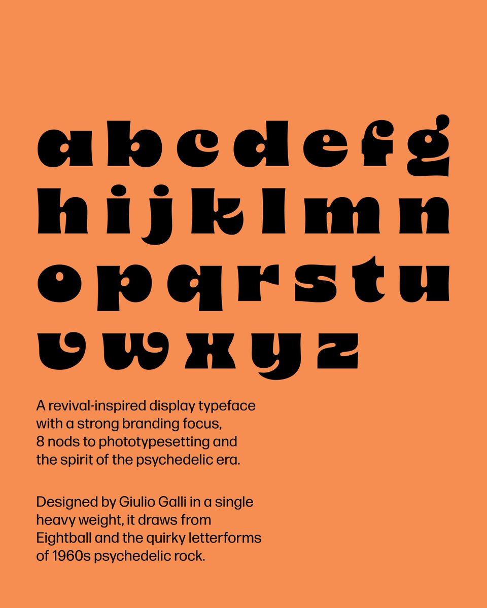 Type Network tweet media