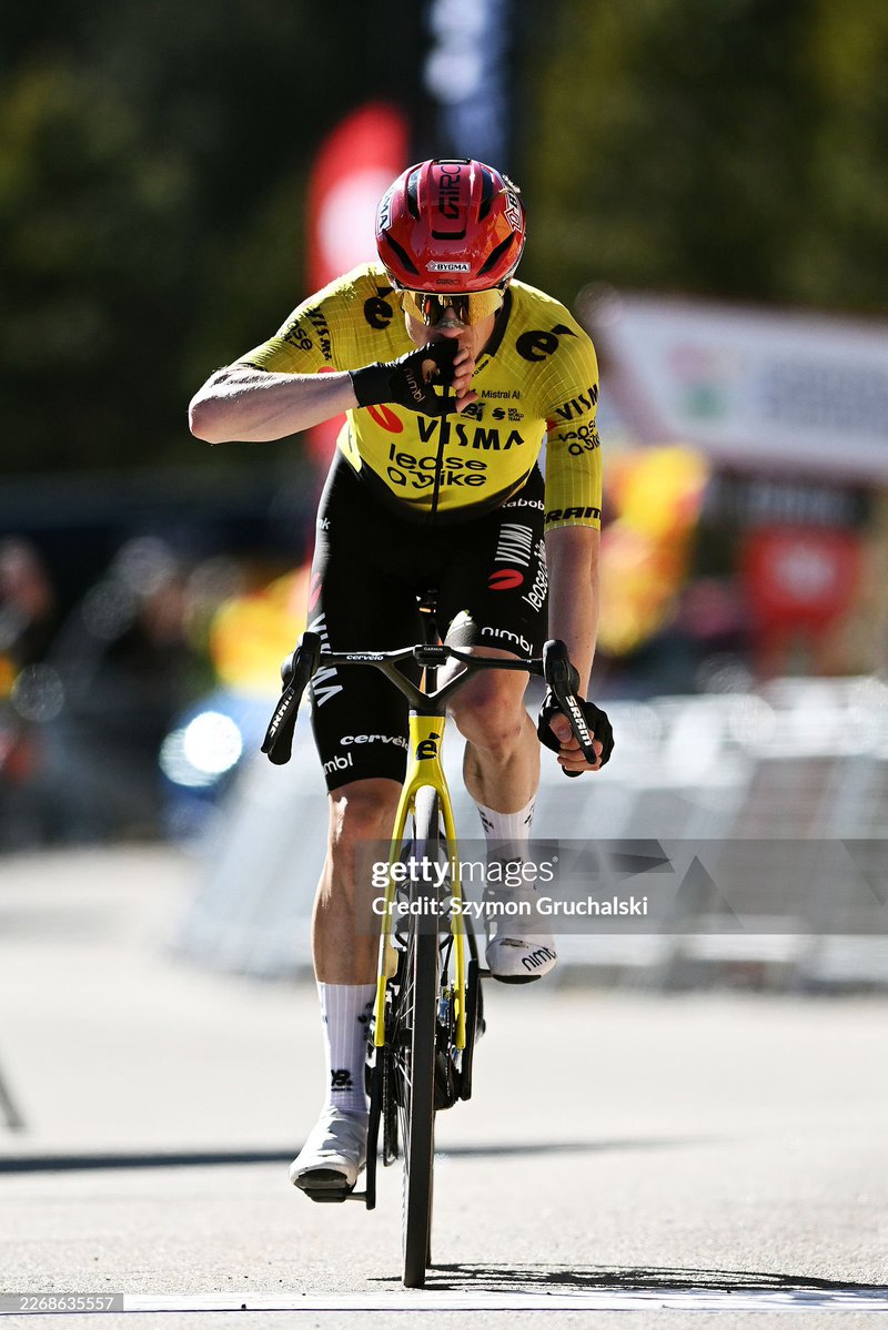 Nikola💛🖤🐝 tweet media