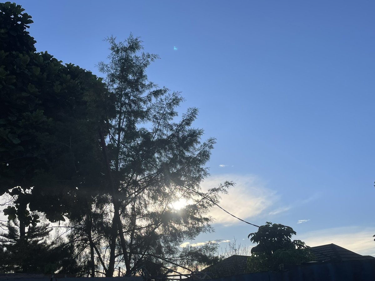 Ngombwa Vincent tweet media