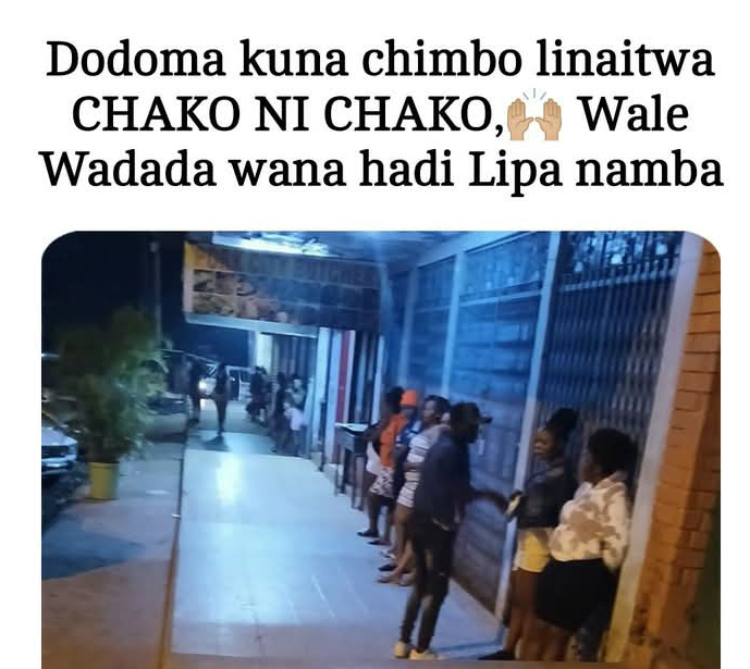 𝐀𝐲𝐨 𝐃𝐢𝐦𝐞𝐣𝐢 tweet media