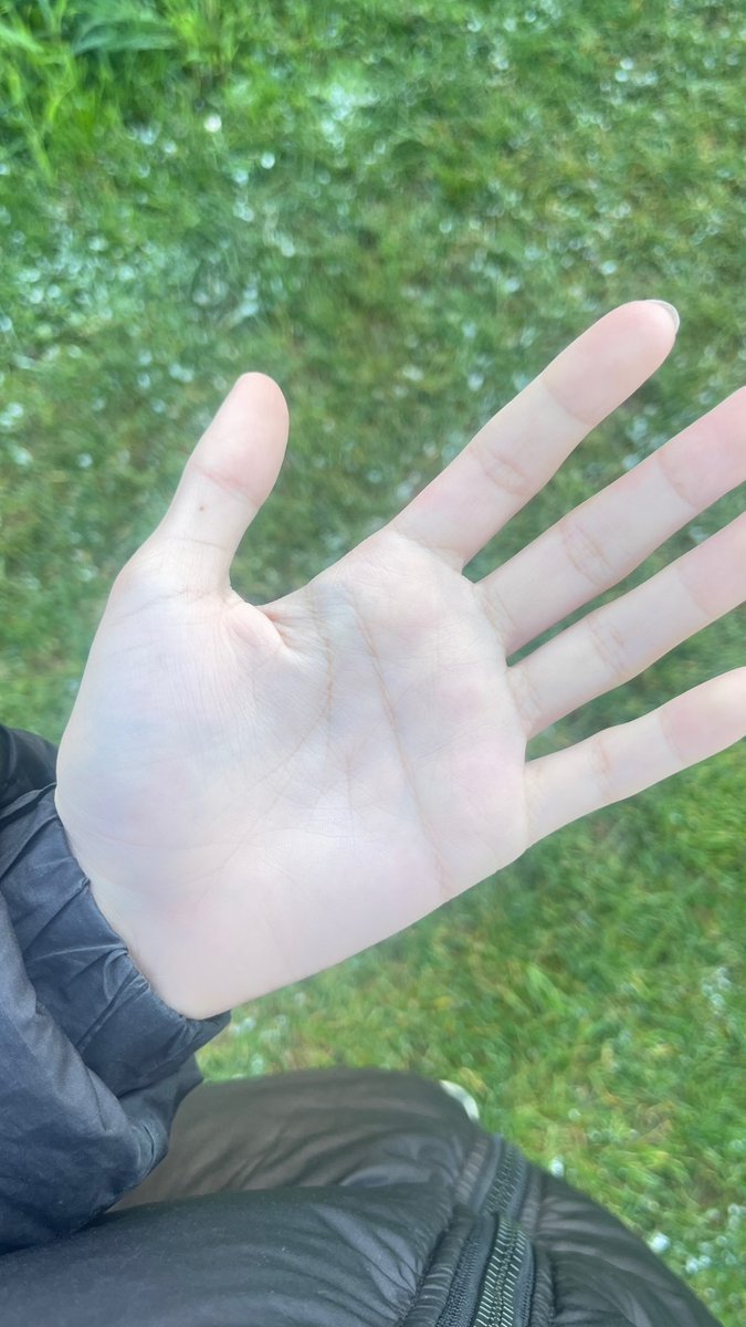 ssr 🐾 tweet media