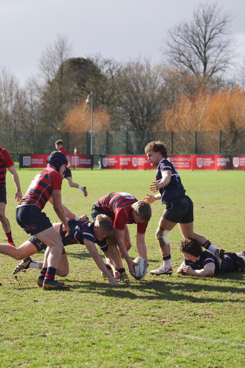 QUB_RUGBY tweet media