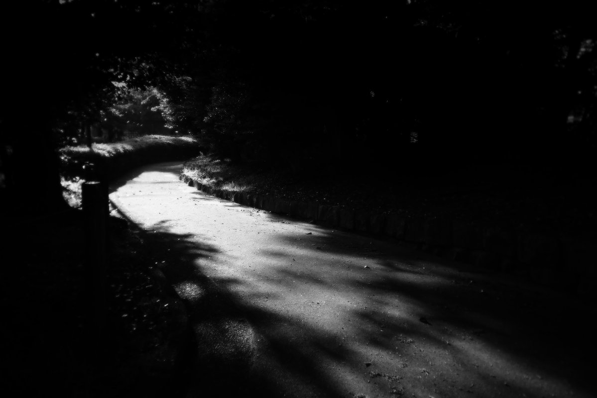 井上浩行 tweet media