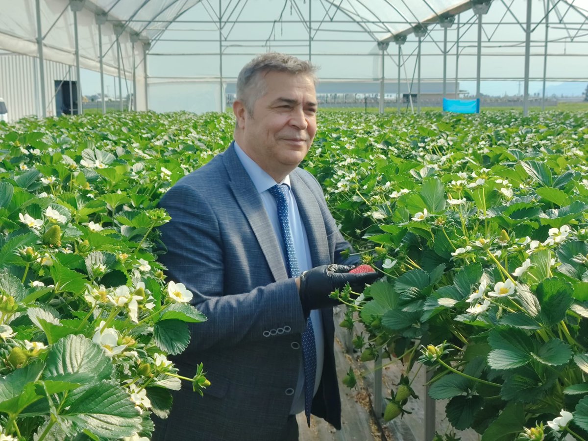 GthmIlce's tweet photo. Döşemealtı Kaymakamı Ünal Çakıcı, İlçe Emniyet Müdürü Fatih Kasapoğlu ve İlçe Müdürümüz Erkan Çakar, İlçemizde faaliyet gösteren  topraksız tarımın yapıldığı #Çilek seralarını ziyaret ederek, çalışmaları incelediler.
#GelecekTarımda
@ErkannCakar 
@FratErkal 
@FratErkal https://t.co/pRUXN3YsF0
