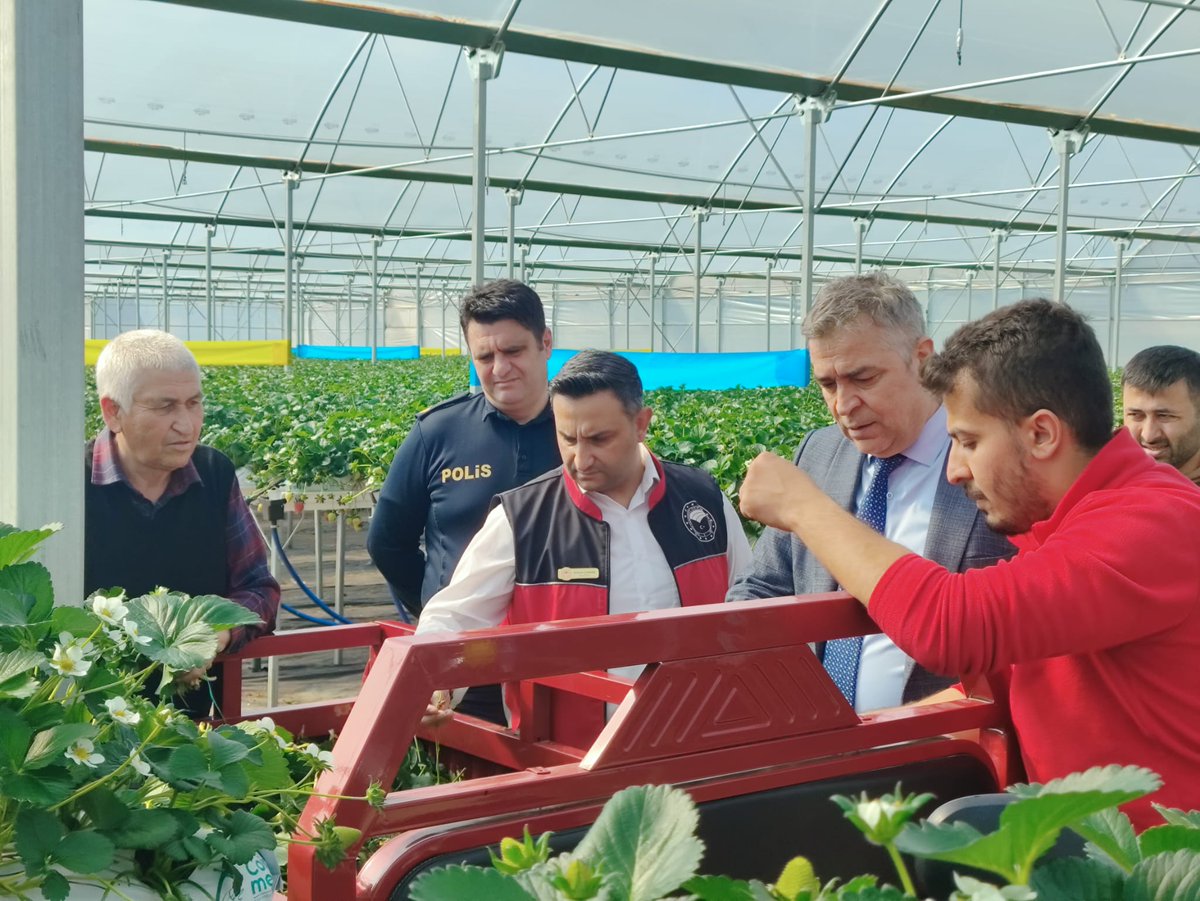 GthmIlce's tweet photo. Döşemealtı Kaymakamı Ünal Çakıcı, İlçe Emniyet Müdürü Fatih Kasapoğlu ve İlçe Müdürümüz Erkan Çakar, İlçemizde faaliyet gösteren  topraksız tarımın yapıldığı #Çilek seralarını ziyaret ederek, çalışmaları incelediler.
#GelecekTarımda
@ErkannCakar 
@FratErkal 
@FratErkal https://t.co/pRUXN3YsF0