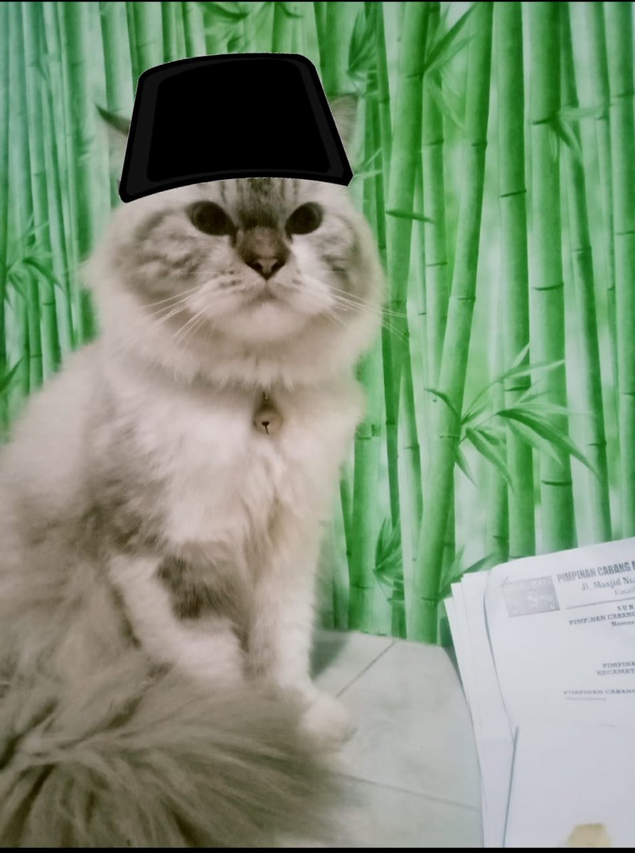 JustDiyaa's tweet photo. @tanyakanrl anaknya introvert bgt tapi gampang haus jadi sembunyi bentar langsung keluar lagi buat minum https://t.co/XiH9PmJnMr