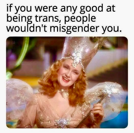 Mellowcroft tweet media