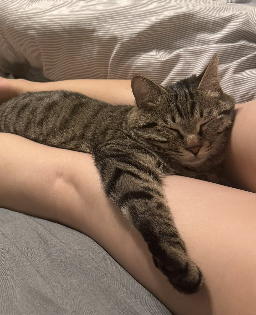 路边垃圾桶 tweet media