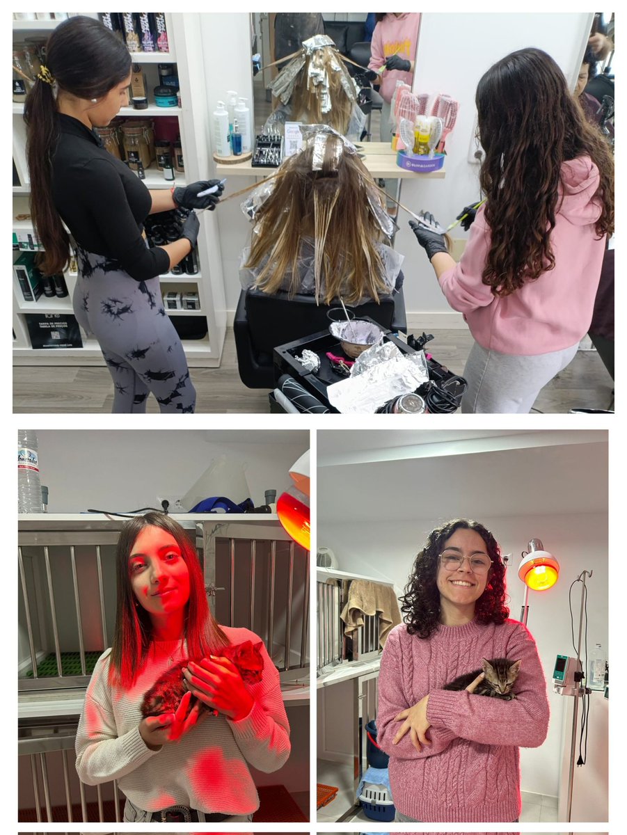 IES San Isidoro tweet media