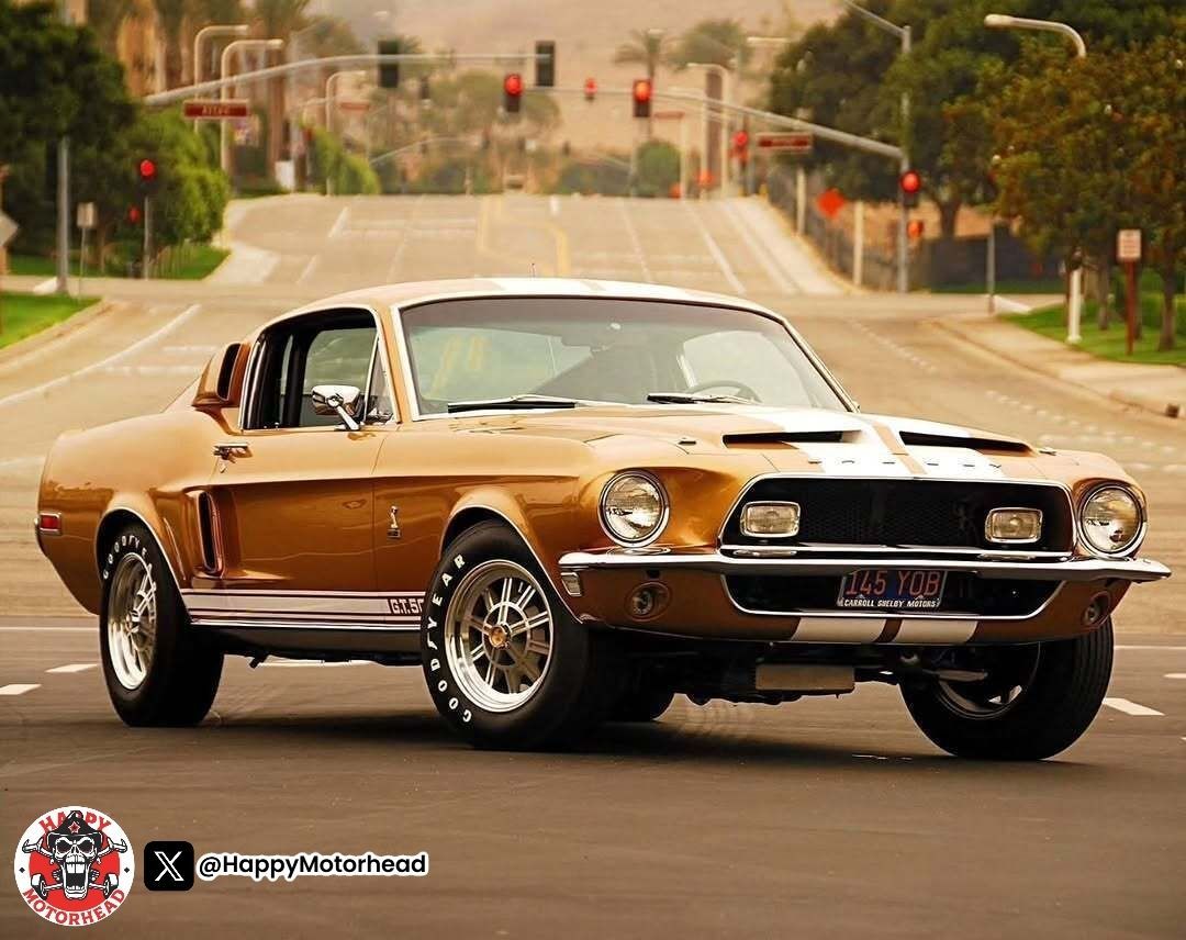 Happy Motorhead tweet media